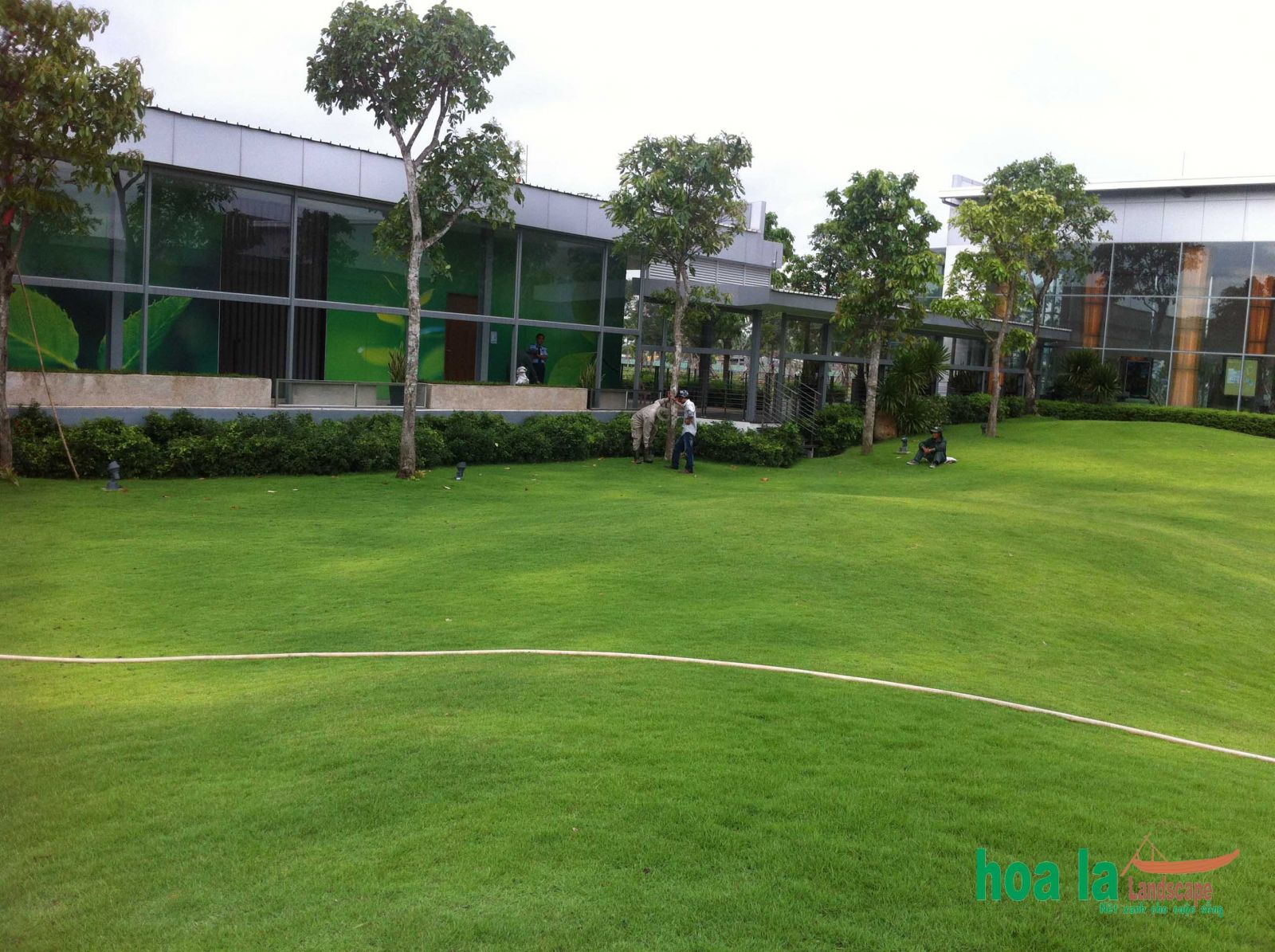 Công ty TNHH Hoa Lá LandScape