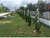 CÔNG TY CASTEC VIỆT NAM